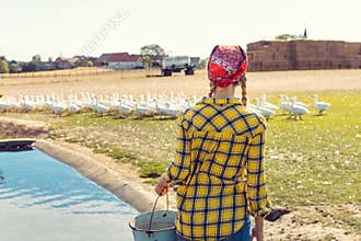 Farmer and farm animals, geese on a meadow
