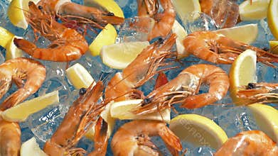 Prawns And Lemon Slices Food Display