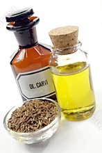 Caraway