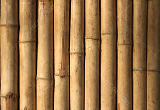Native style bamboo background pattern philippines