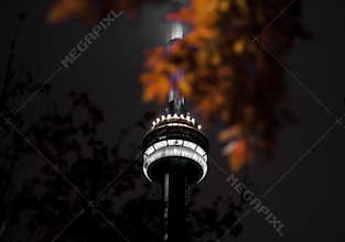 The tower in the night white lights. Autumn maple leafs. Canada, Toronto.