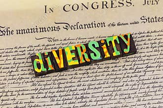 Diversity multiethnic group social friendship acceptance partnership ethnicity