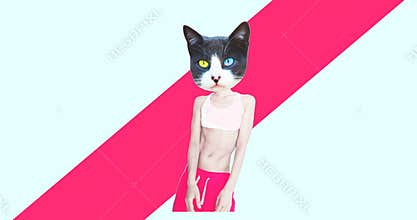 Minimal motion art. Fashion dancing Cat in colours geometry background