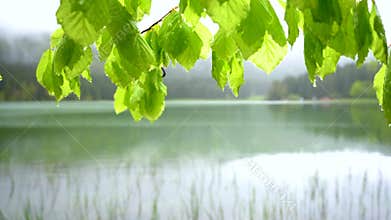 Beautiful landscape mountain lake with the forest in the background. Spring landscape of a mountain lake. Green forest after rain.