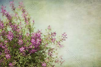 Abstract background of blooming wildflowers with copy space