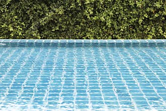 Swimming pool and green trees as background.