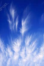 Clouds