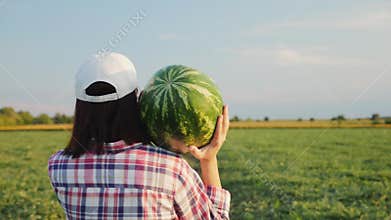 Farmer carries a ripe watermelon on her shoulder