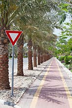 Palm tree vector, palm near the road