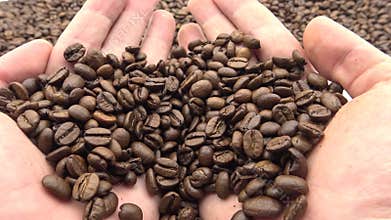 4k Hand with Roasted Coffee Beans. Freshness ingredient for prepare coffee