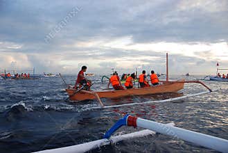 Dolphin watching rush hour