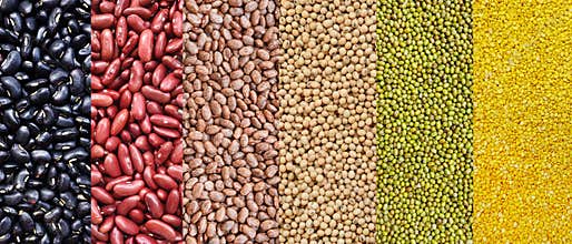 The ranks of different beans