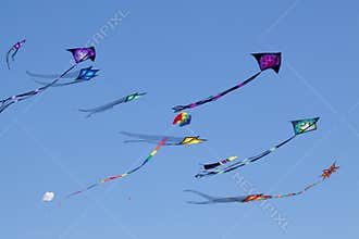 Sky of Kites