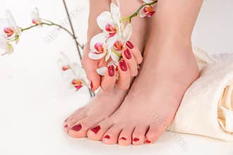 Graceful Elegance: A Stunning Display of Manicure and Pedicure