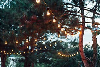 Light bulb decor in outdoor party, Wedding party