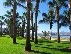 Fuerteventura