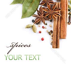 Spices