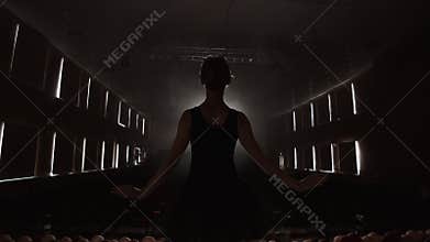 SLOW MOTION: prima ballet rehearses a solo performance standing on the stage of the theater in smoke in a black dress in