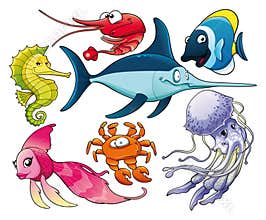 Marine life