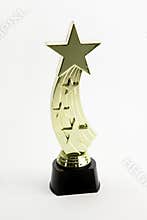Shinning star award
