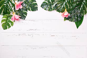 Summer  border