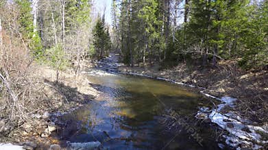 Mountain river flowing among forest with melting snow in spring. Media. Spring floods fill mountain rivers flowing in