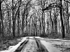 Tire Tracks on Snow Covered Road Through Forest