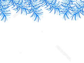 Abstract background with blue branches of fir-tree. Vector illustration