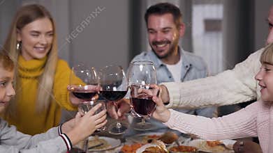 Beautiful relatives clinking glasses with wine and juice while celebraring Thanksgiving day