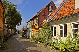 Danish houses