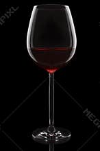Wine glass