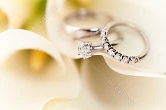 Wedding Rings on White Flowers