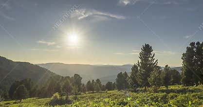 Mountain meadow timelapse. Wild nature and rural field. Clouds, trees, green grass and sun rays movement. Camera motion.