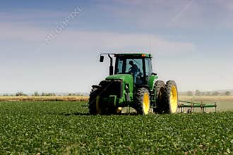 Farmer plowing the field