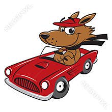 dog driving