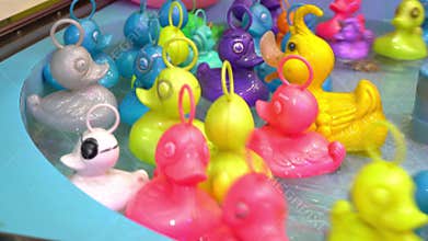 Colorful rubber ducks in the pool at the Christmas market float in circles