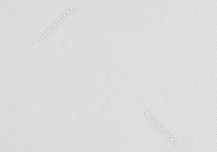 White primed artist's canvas