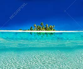 Tropical Island