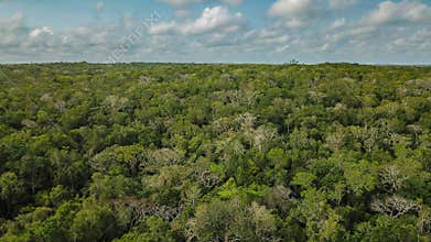 Aerial View: The Maya Biosphere Reserve
