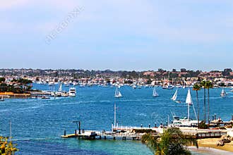 Newport Harbor