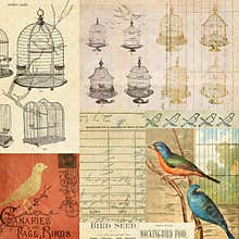 Vintage Birds and cages collage montage background