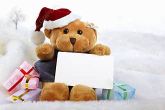 Chrismast bears