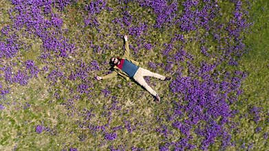 Bearded man lies on the field in violets top-down view