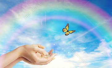 Woman hands releasing a butterfly - Symbolic Spiritual Release