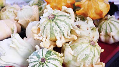 A pile of trendy ugly organic pumpkin, zero waste production in food industry