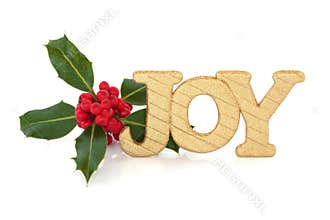 Christmas Joy