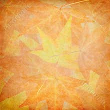Fall Leaf Textures