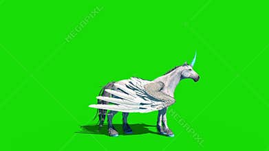 Unicorn pegasus winged horse neighs side green screen 3D rendering animation