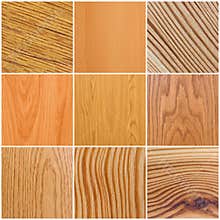 Wood Texture