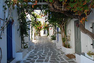 Greek courtyard, Island of Paros